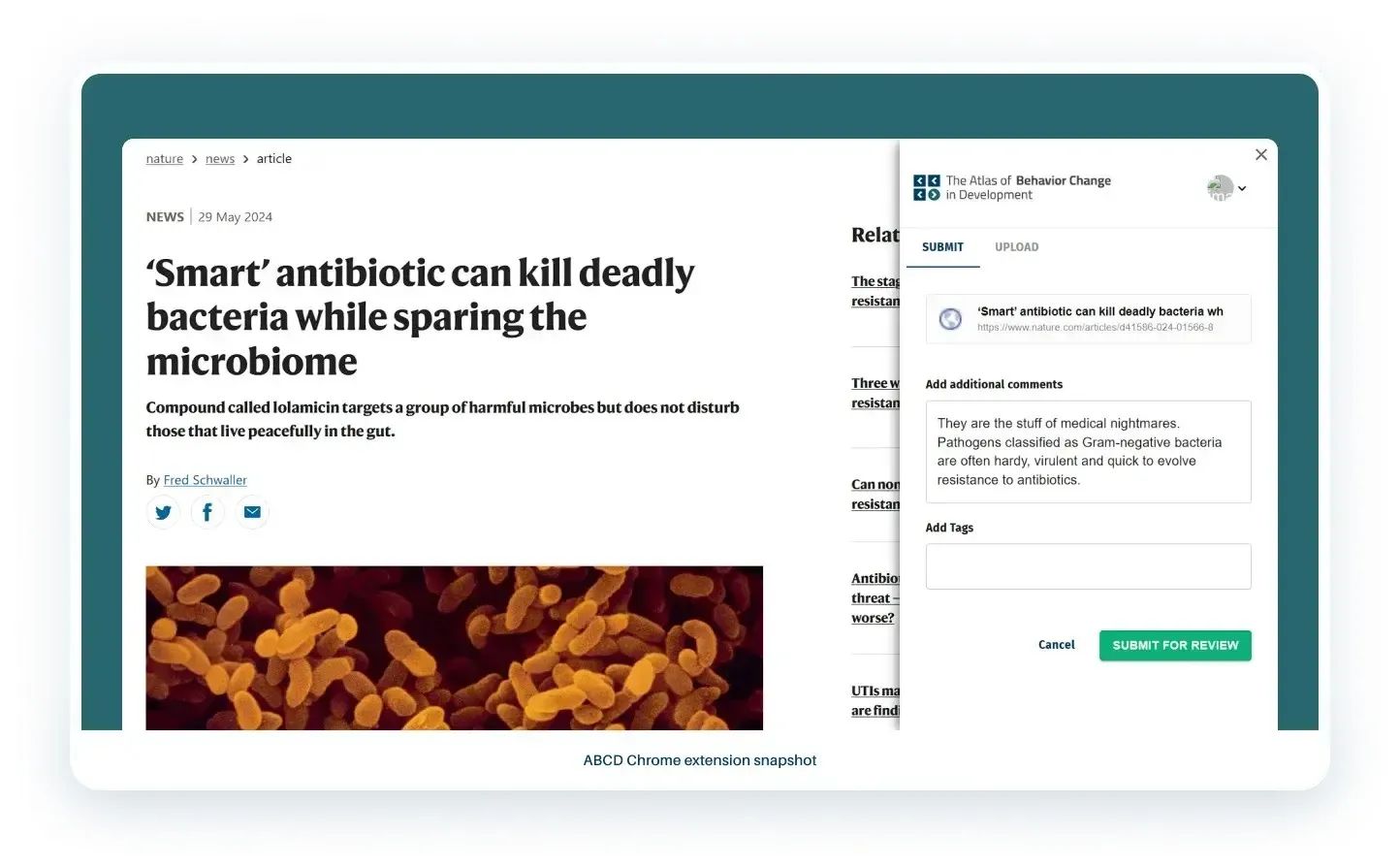 Chrome Extension Snapshots